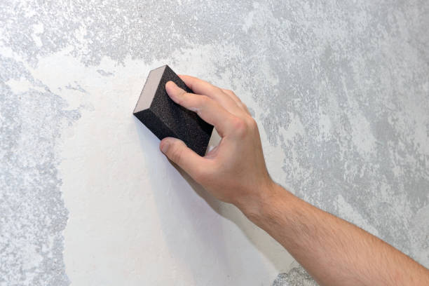 Best Mold Documentation for Insurance Claims  in Pemberville, OH