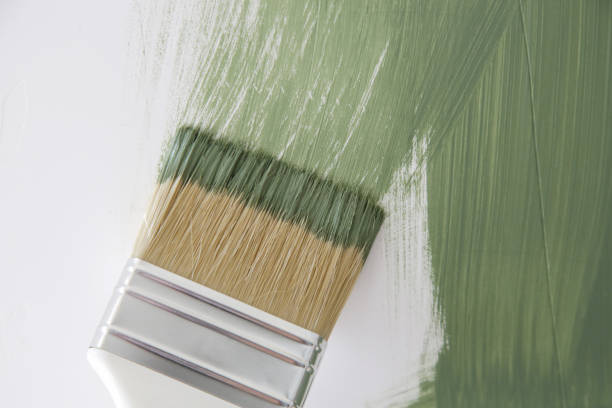 Best Black Mold Removal  in Pemberville, OH