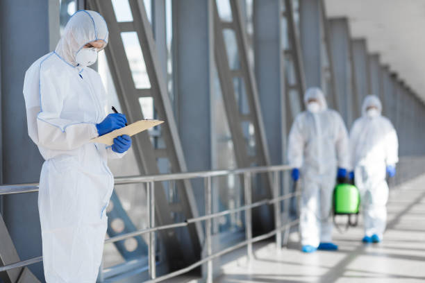 Best Emergency Mold Remediation  in Pemberville, OH