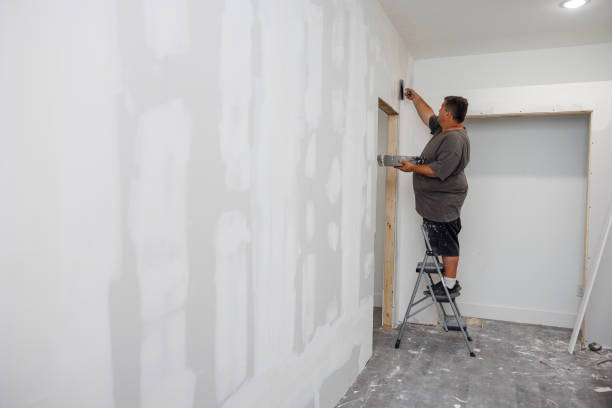 Mold Removal for HVAC Installations in Pemberville, OH