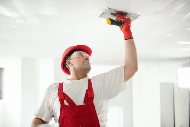 Best Mold-Related Health Consultation  in Pemberville, OH