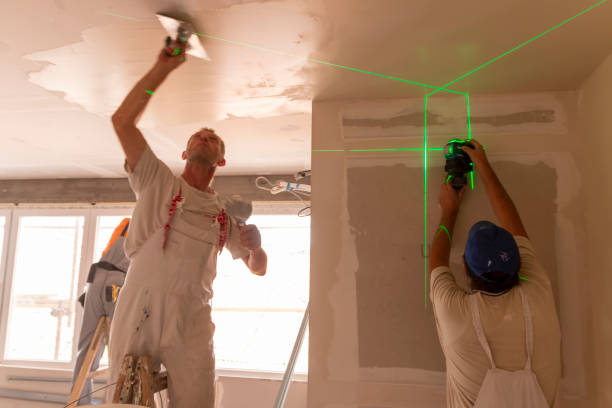 Best Comprehensive Air Testing for Mold Contaminants  in Pemberville, OH