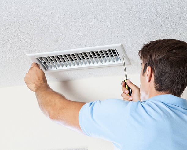 Best Real Estate Mold Inspection  in Pemberville, OH