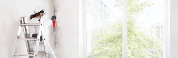 Best HVAC Mold Inspection and Cleaning  in Pemberville, OH