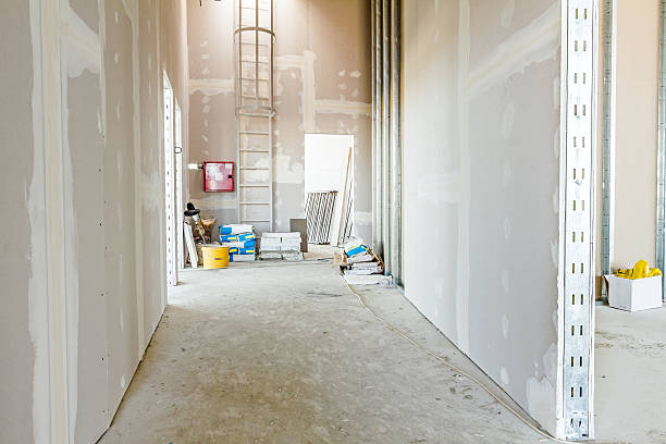 Best Mold Odor Removal Services  in Pemberville, OH