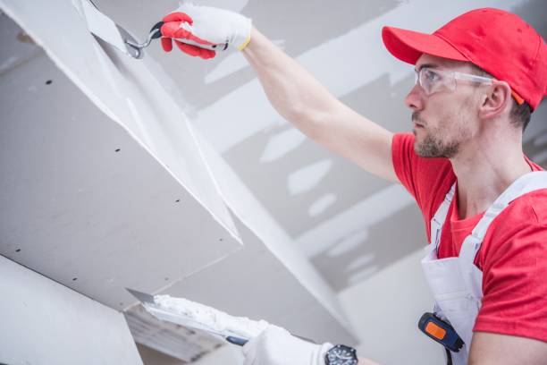 Best Basement Mold Removal  in Pemberville, OH